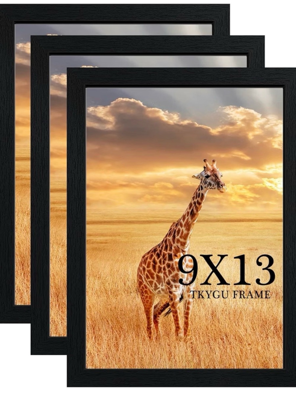 Black Picture Frame - 9x13 (Set of 3)